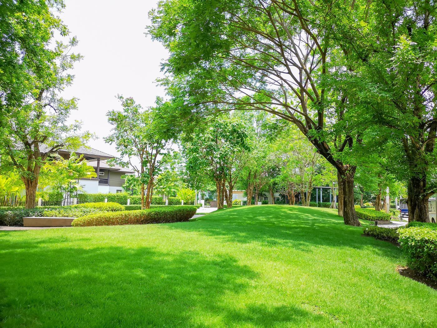 Lush green lawn and trees in a park-like setting; sunny day.