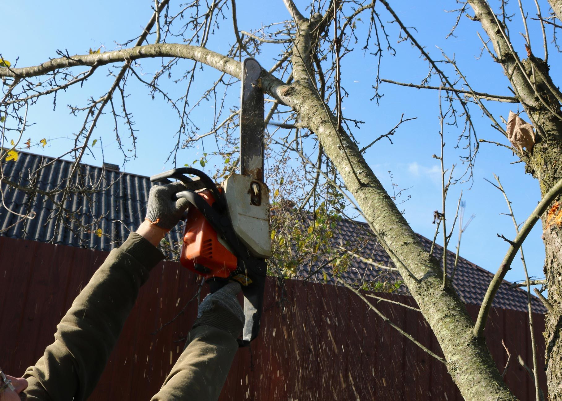 Person uses chainsaw to cut tree branch in front of a fence under blue sky.