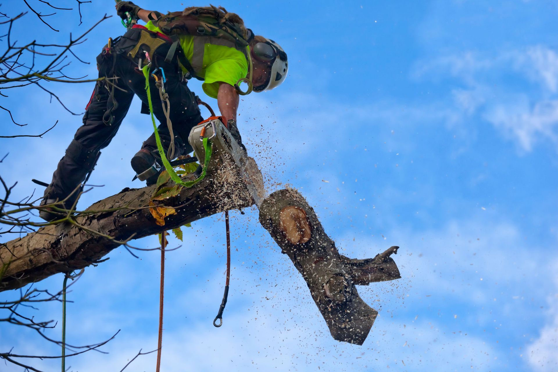 Arborist in safety gear cuts a tree branch with a chainsaw against a blue sky.