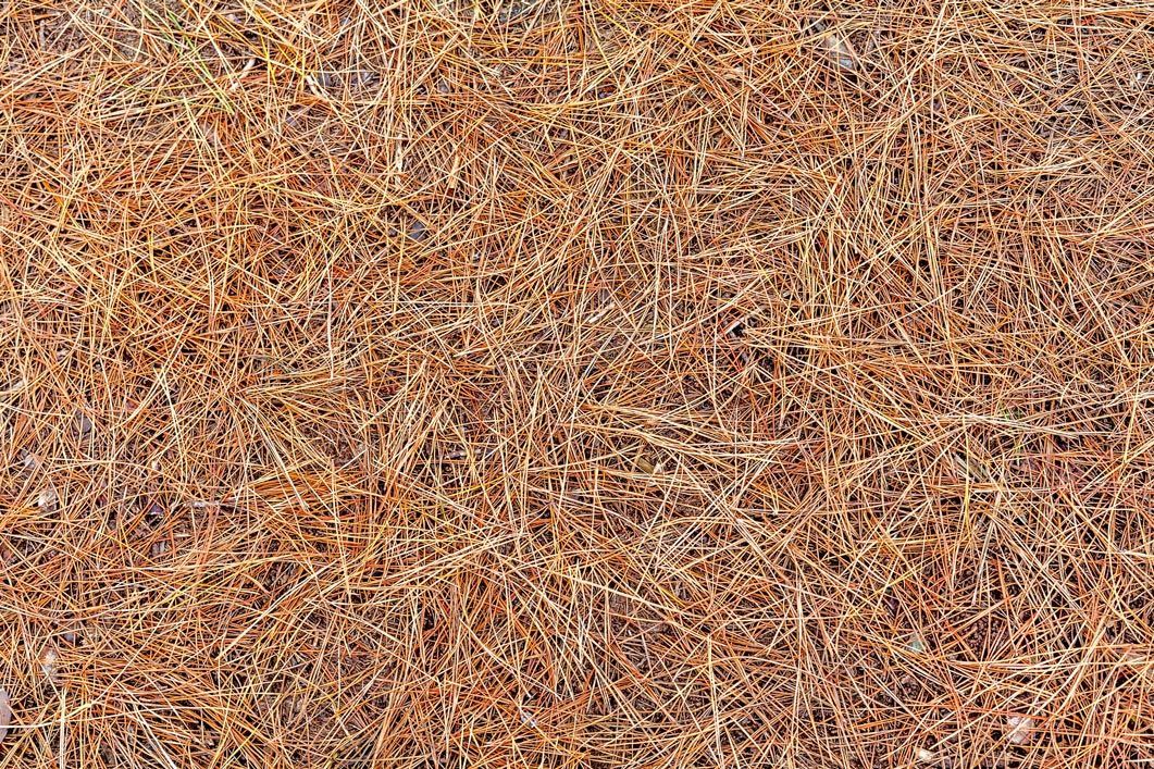 Brown straw erosion control blanket.
