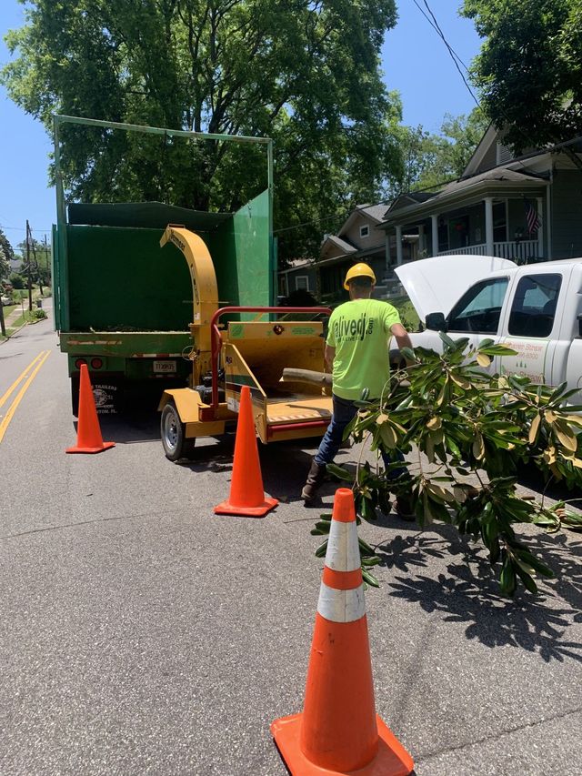 Arborist in safety gear cuts a large tree branch with a chainsaw, outdoors.