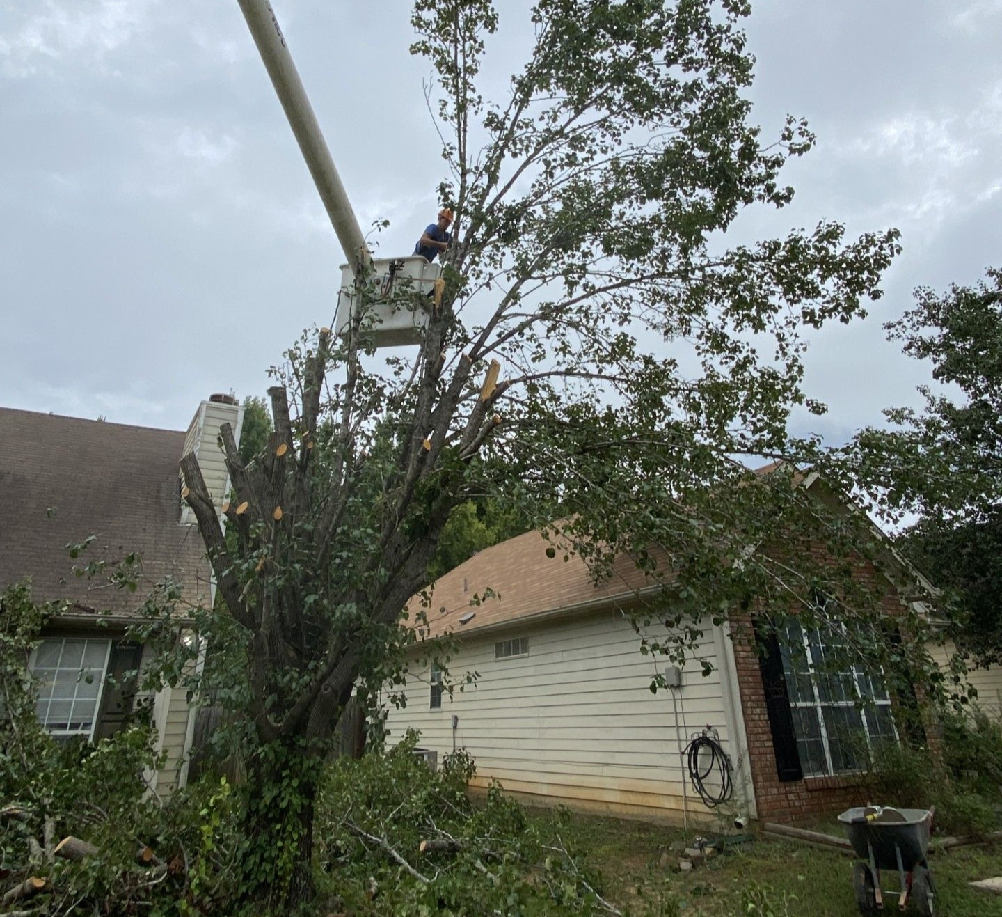 Person cutting a tree branch with an orange chainsaw outdoors.