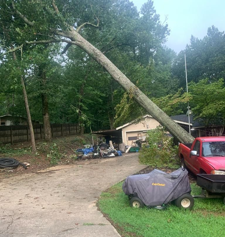 Tree service worker cutting down a large tree in a yard near a house; green shirt, safety gear.