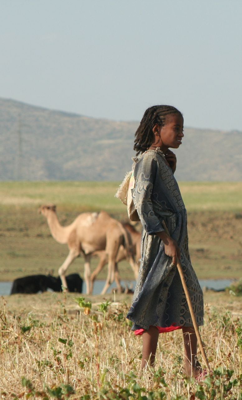 Ethiopian child watching over camels drinking from a creek