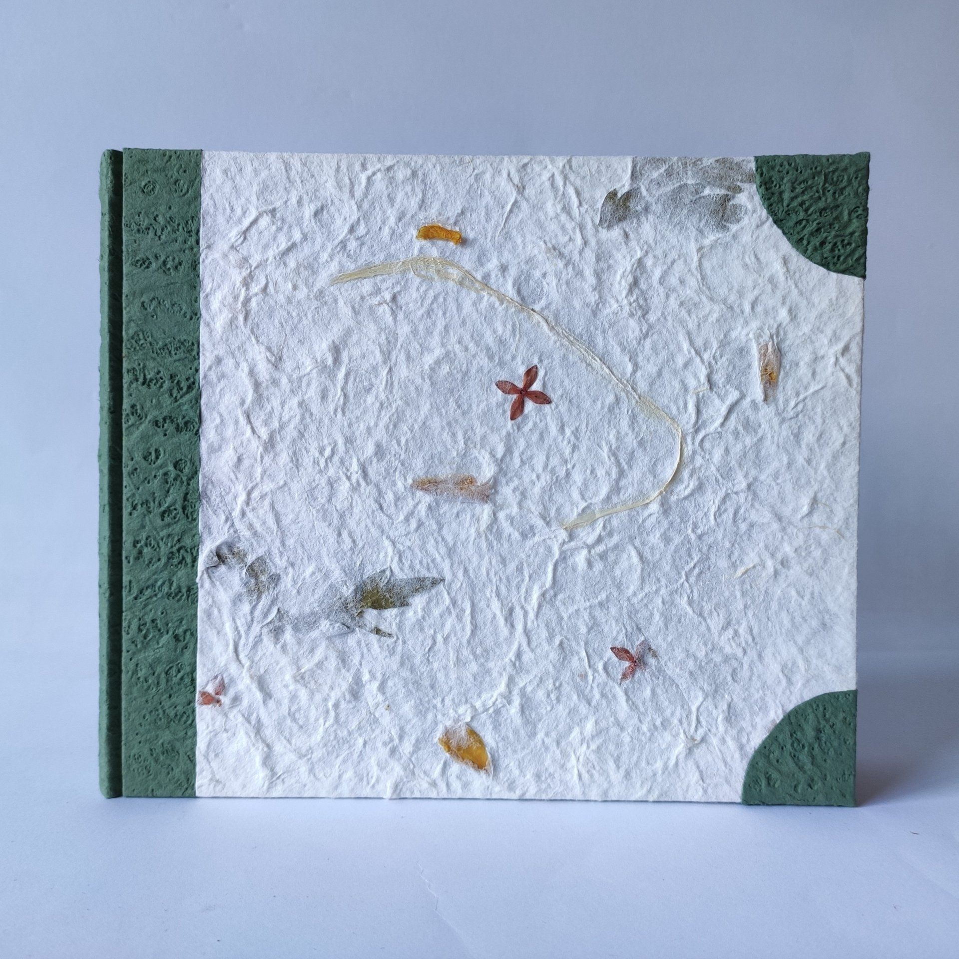 legnoegrafite legno e grafite album fotografico piante