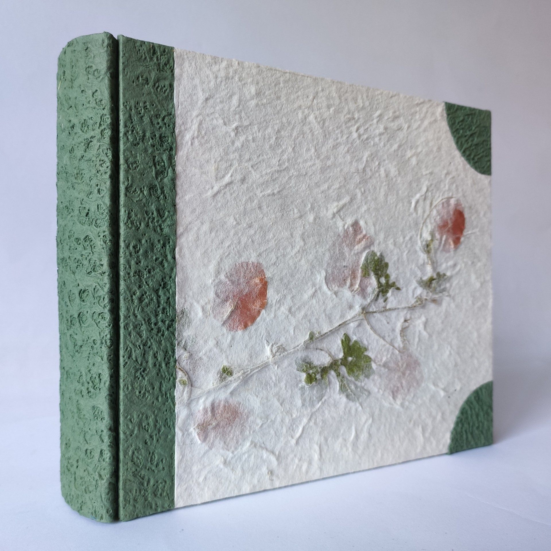 legnoegrafite legno e grafite album fotografico piante