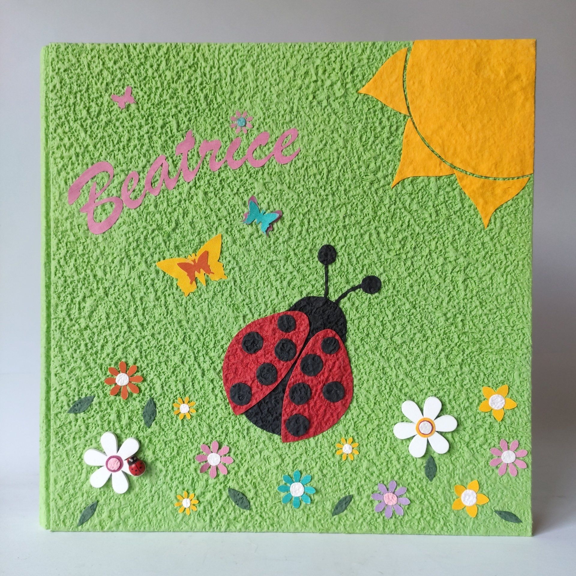 legnoegrafite legno e grafite album fotografico coccinella fiori nome