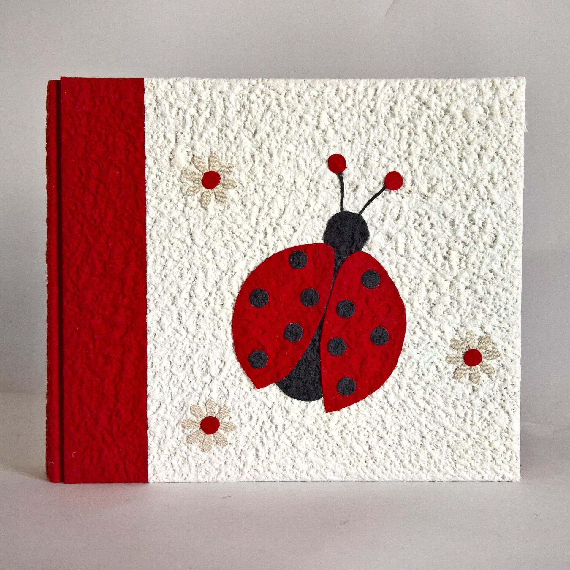 legnoegrafite legno e grafite album fotografico coccinella fiori