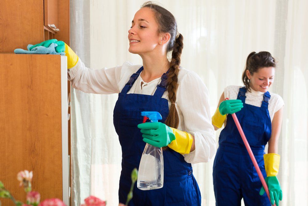 professional cleaners crew make cleaning in the living-room