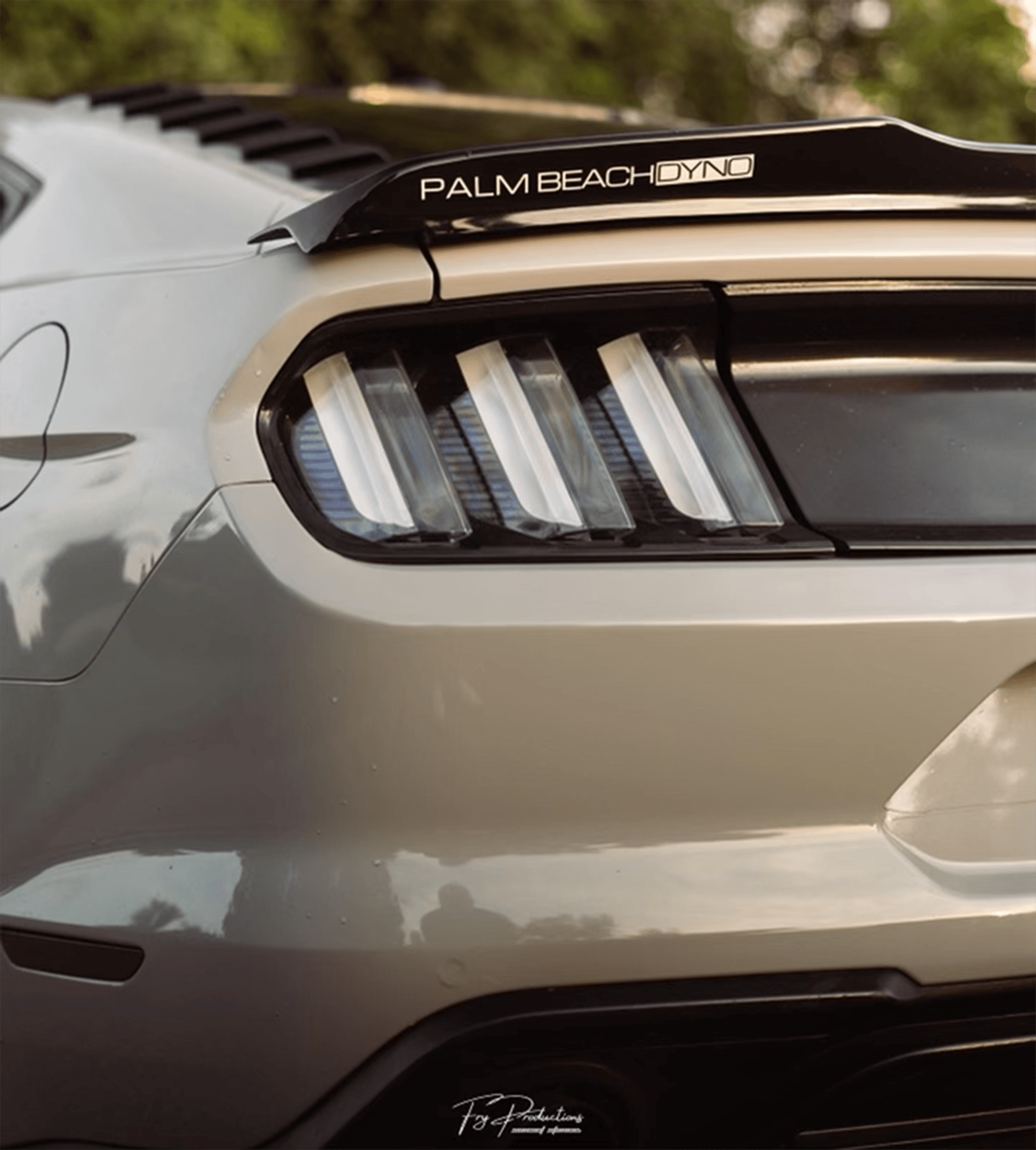 the rear end of a palm beach ford mustang