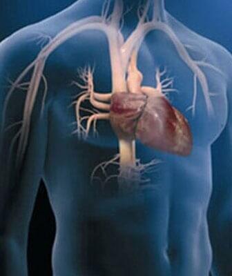 electrocardiogramas - DR. NELSON ELOY OCHOA BECERRA