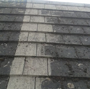 GB Cosey Home | Gallery Image