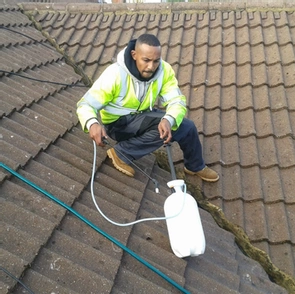 GB Cosey Home | Gallery Image