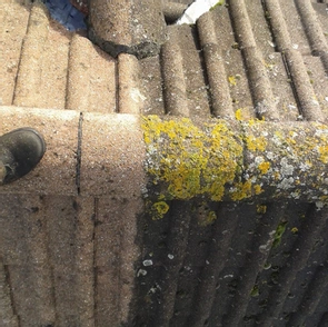 GB Cosey Home | Gallery Image