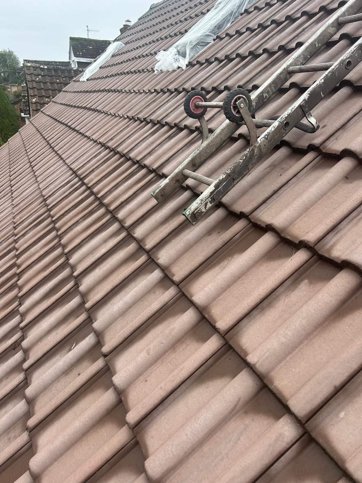 GB Cosey Home | Gallery Image