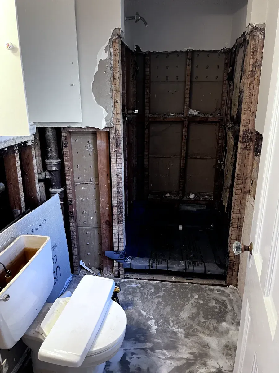 Bathroom renovation: Exposed studs and plumbing; toilet and fixtures removed; shower area visible.