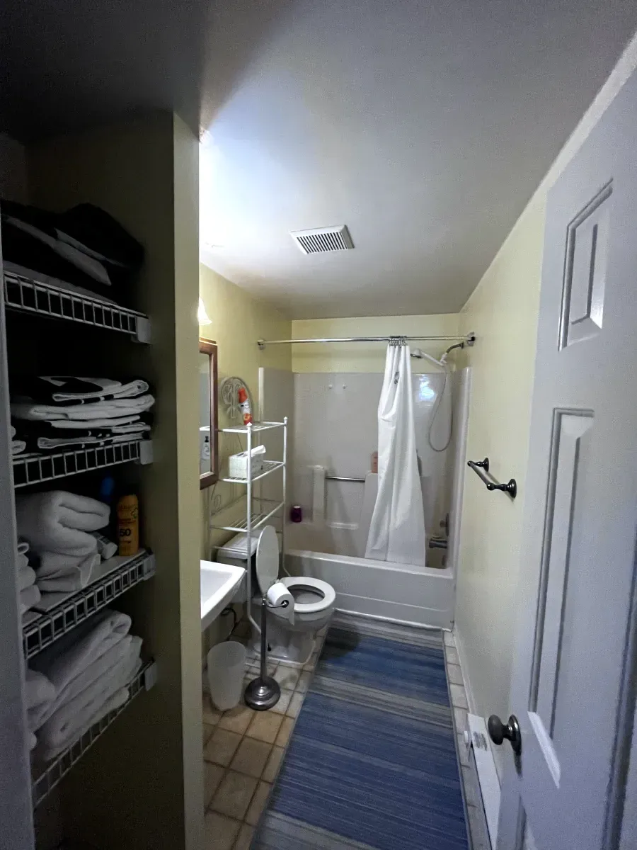 Small bathroom with a blue rug, white tub, and wire shelving.