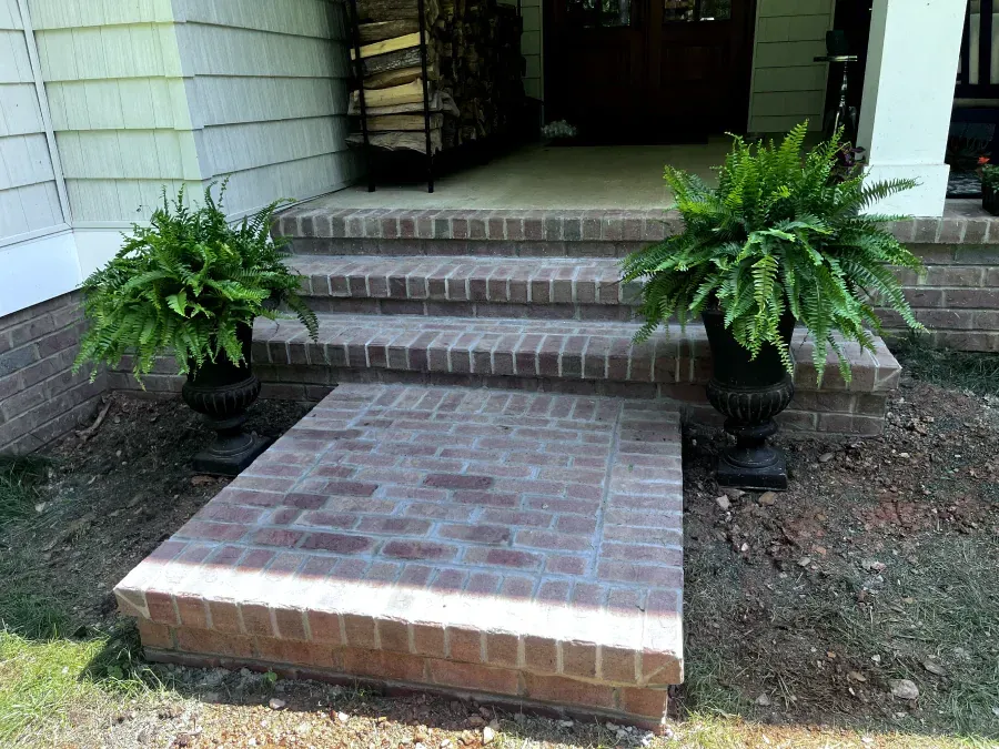 Brick steps leading to a front door, flanked by potted ferns.