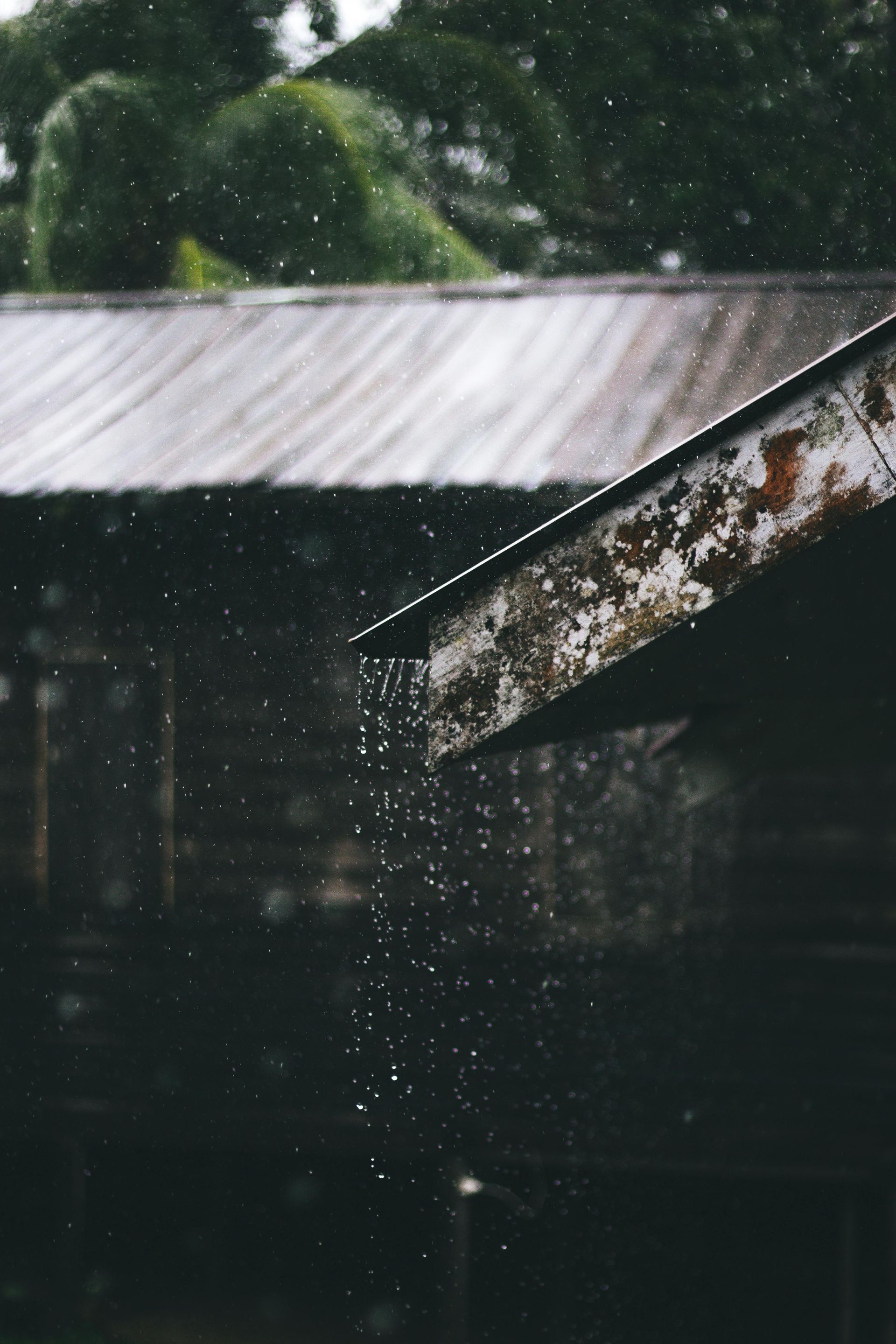 Rain pours over the weathered, corrugated metal roof of a rustic wooden structure.