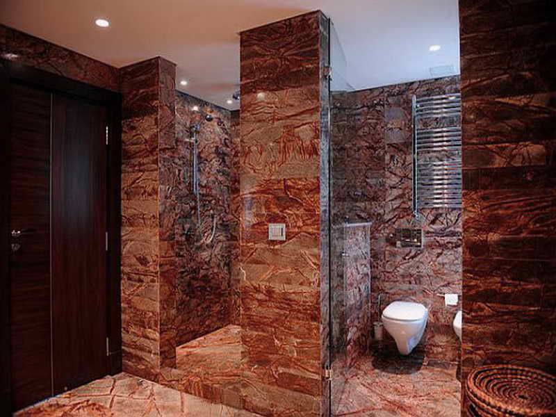 Top-Walk-In-Shower-Designs