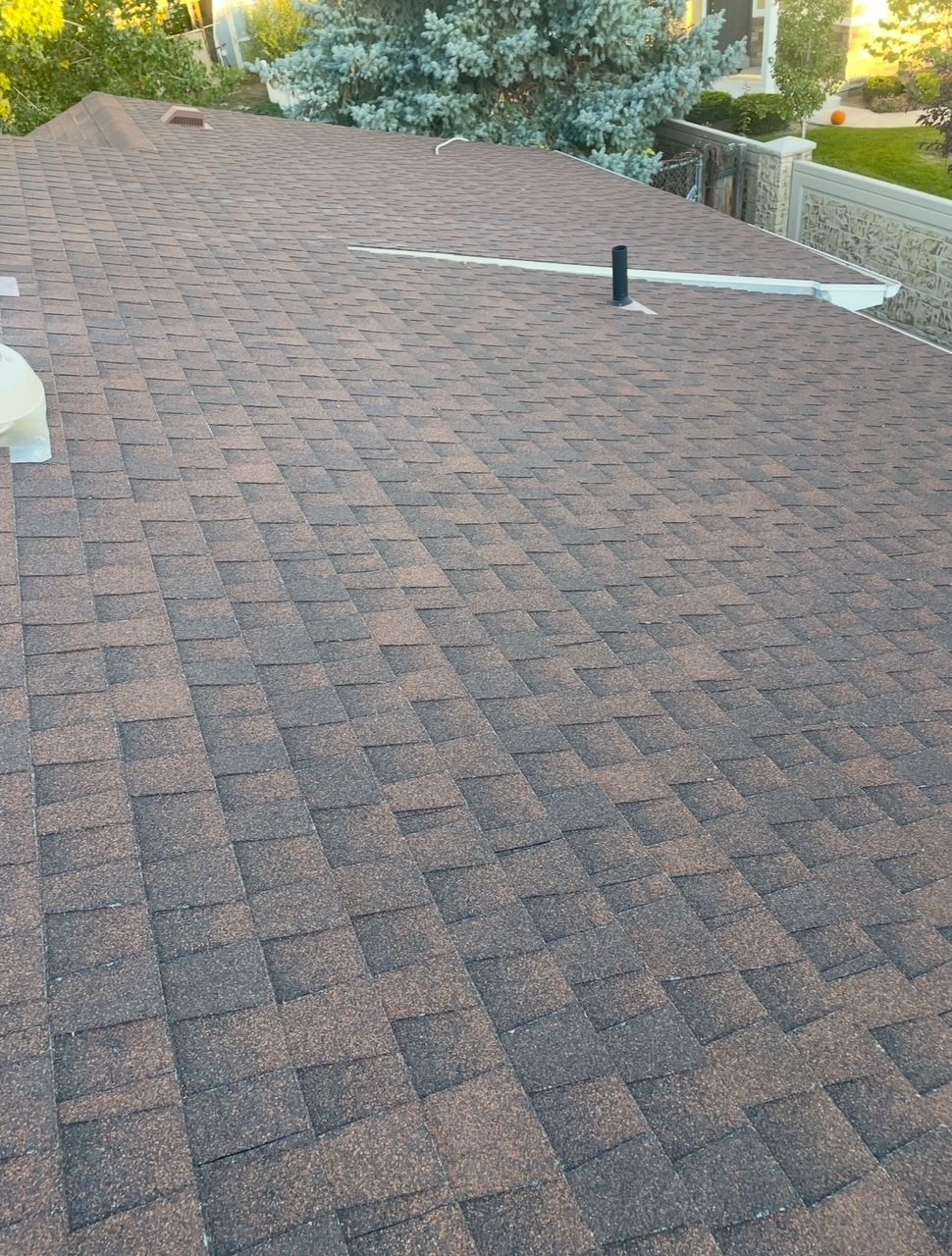 Brown asphalt shingle roof, chimney, vent pipe, and white trim against a background of green trees and fence.