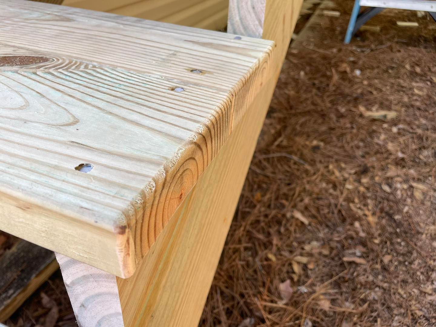 A close up of a piece of wood sitting on top of a pile of pine needles.