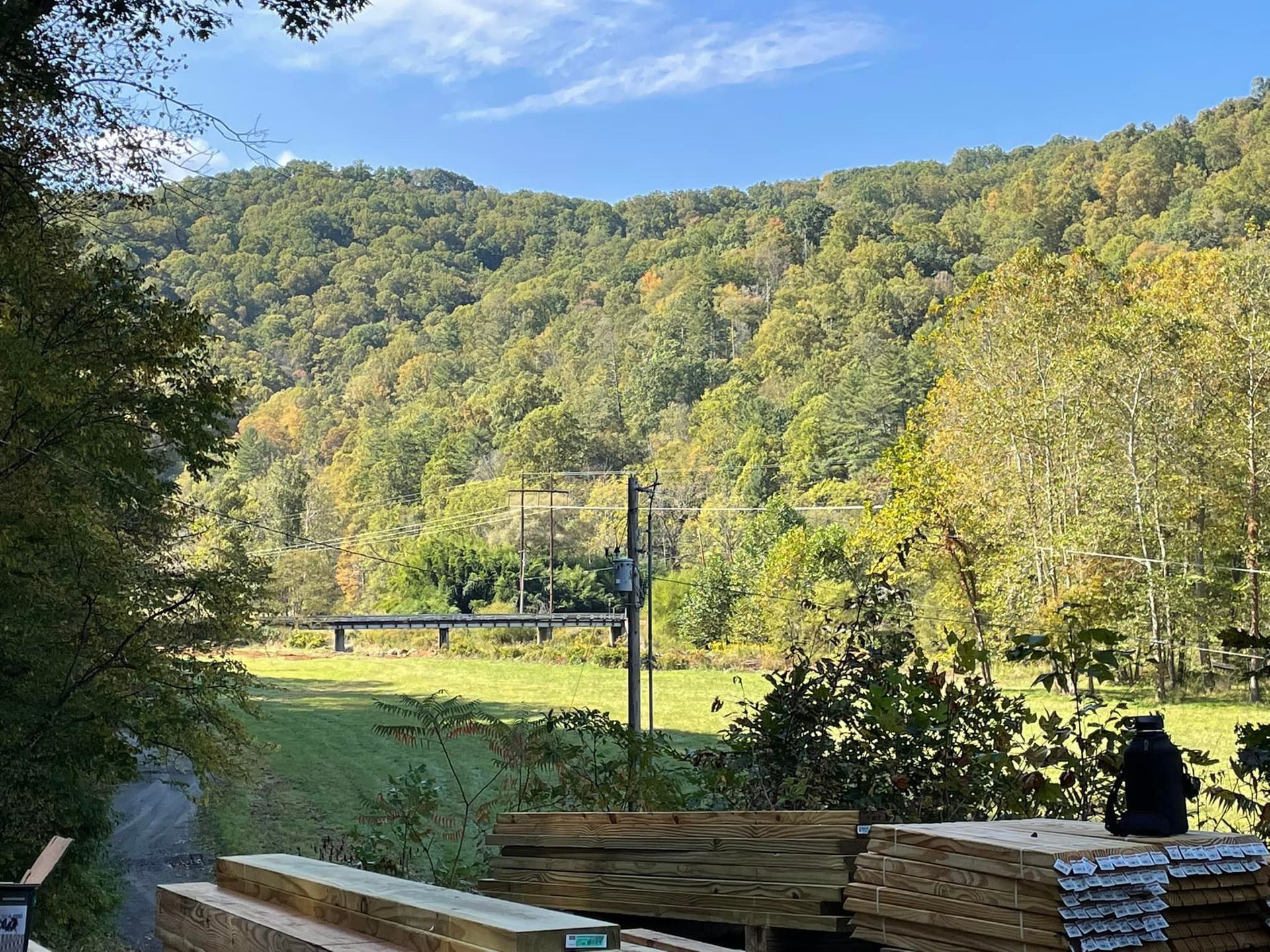 A stack of wood is sitting in front of a forest.