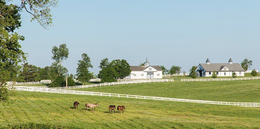 horses and barn