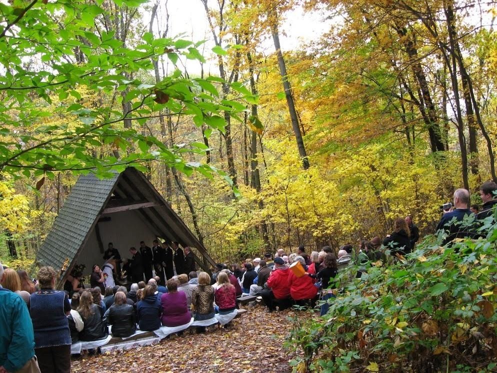 A group of people are sitting under a shelter in the woods