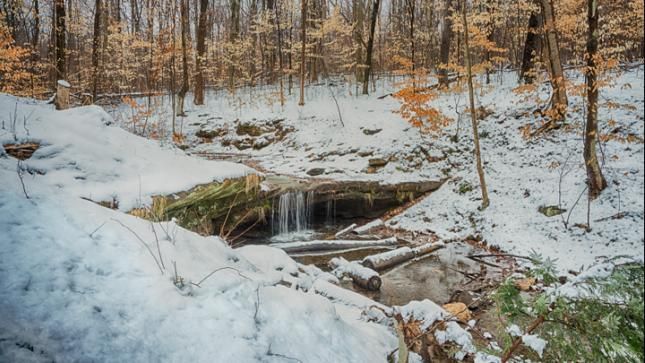 A small waterfall in the middle of a snowy forest.