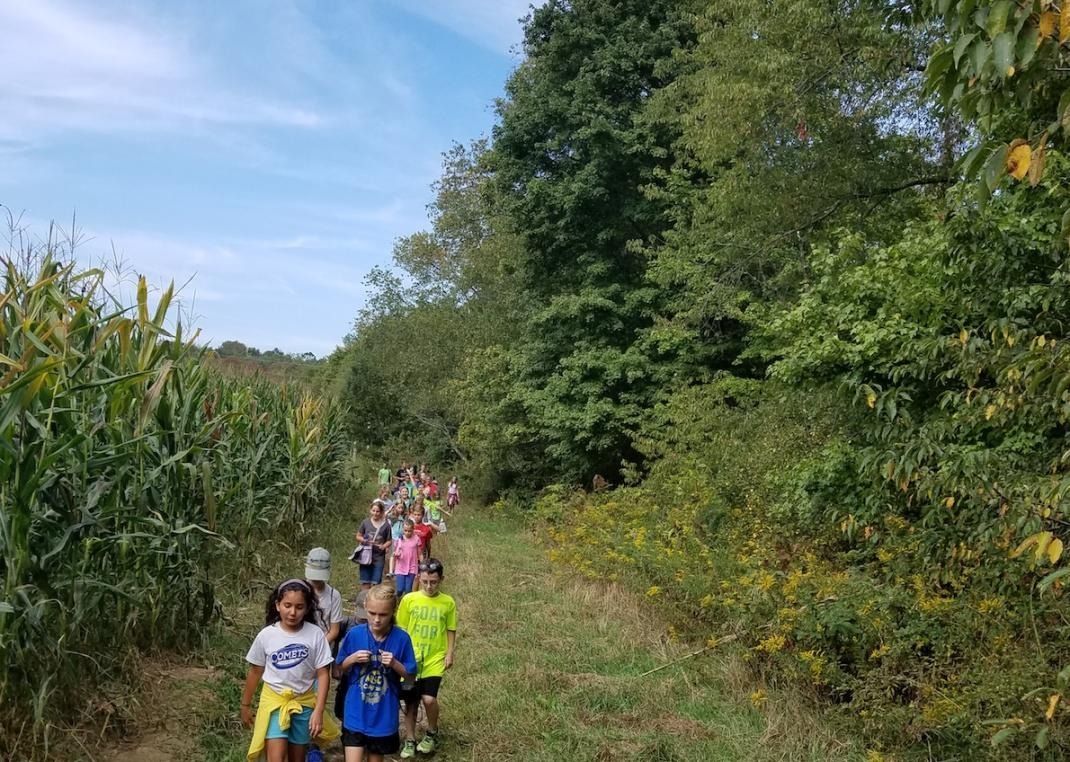 A group of children are walking down a path in the woods.