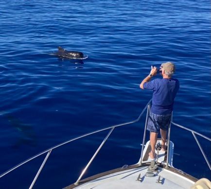 A man is sitting at the steering wheel of a boat in the ocean.