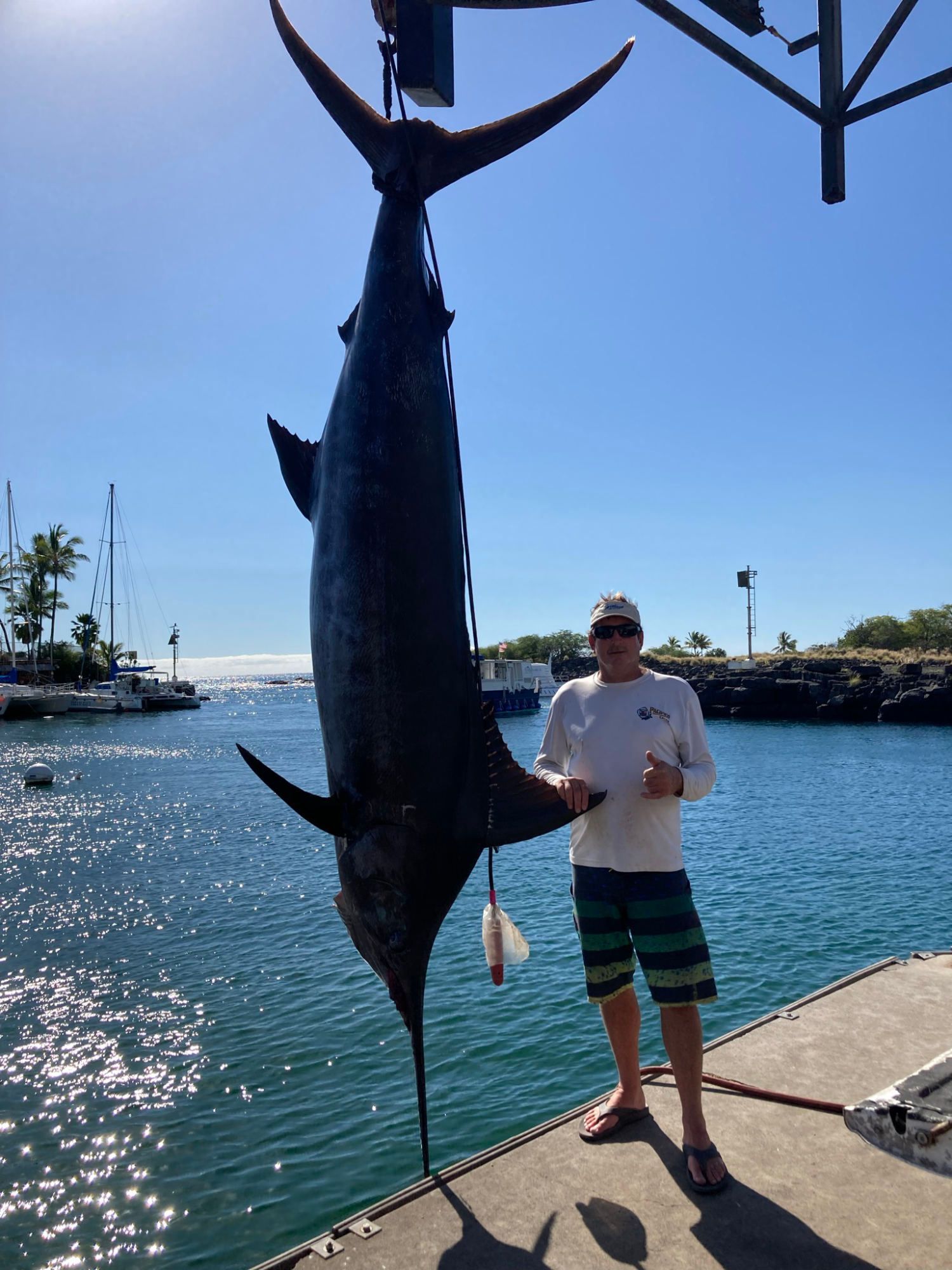 A man is standing next to a large fish on a dock.