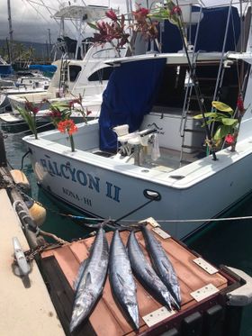 A bunch of fish are sitting on a dock next to a boat.