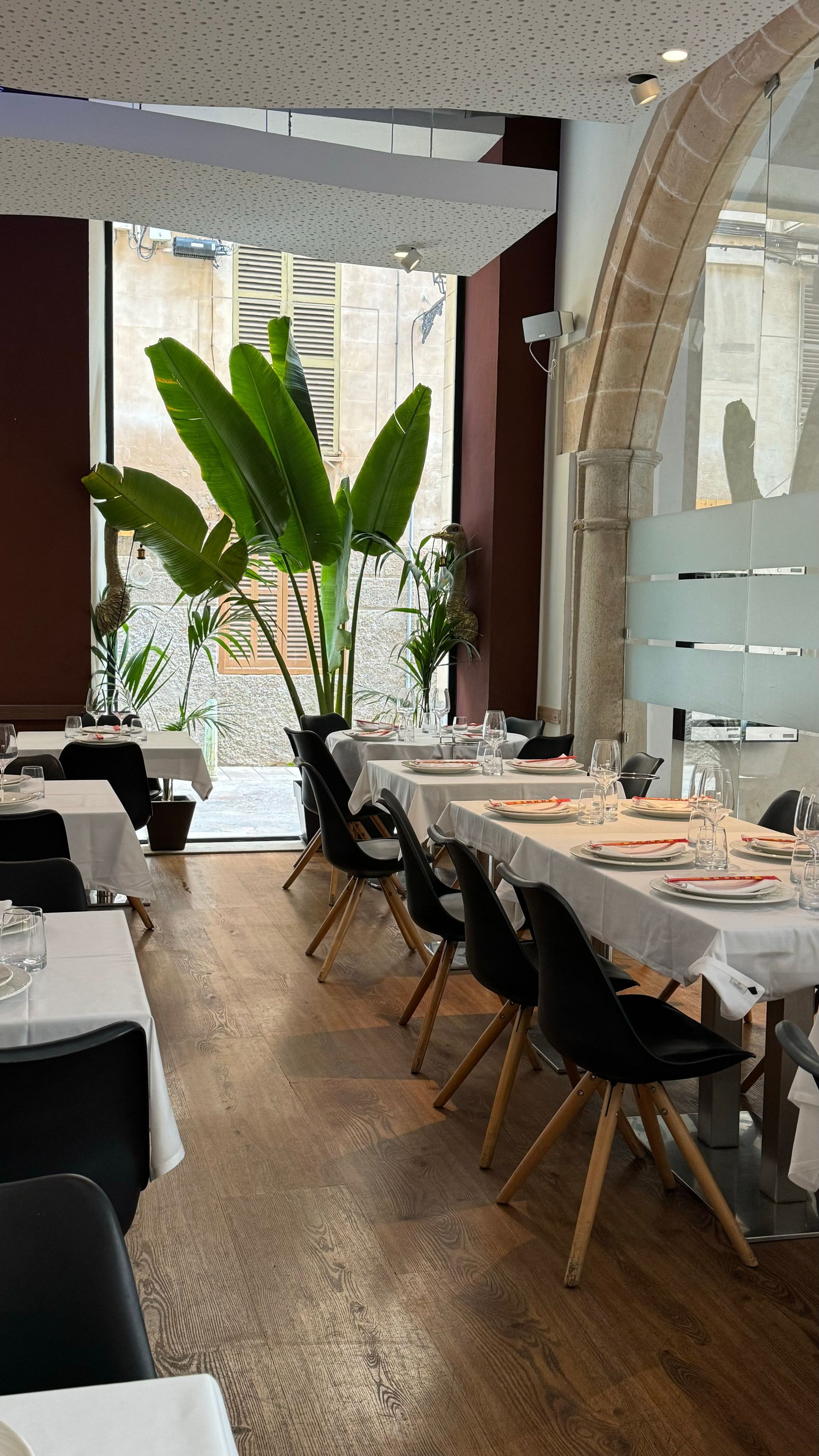 best restaurants in Palma