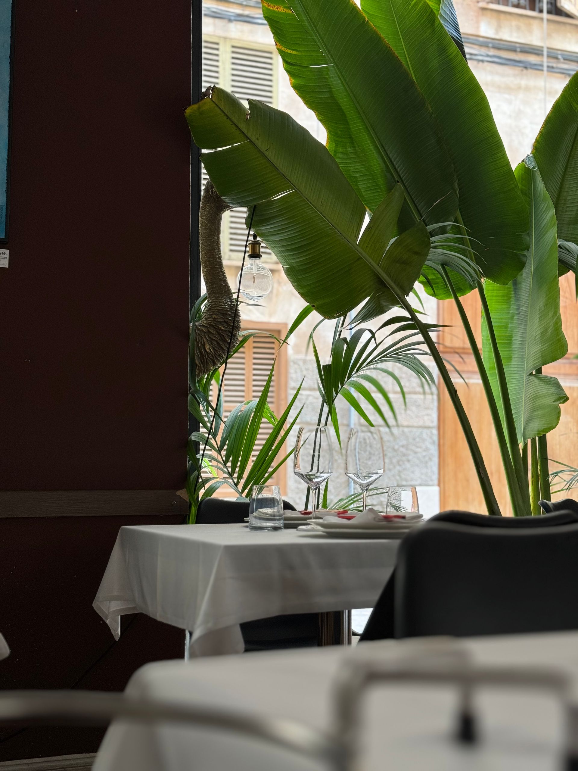 best restaurants in Palma