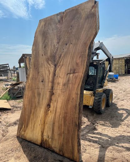 A large piece of wood is being lifted by a bulldozer.