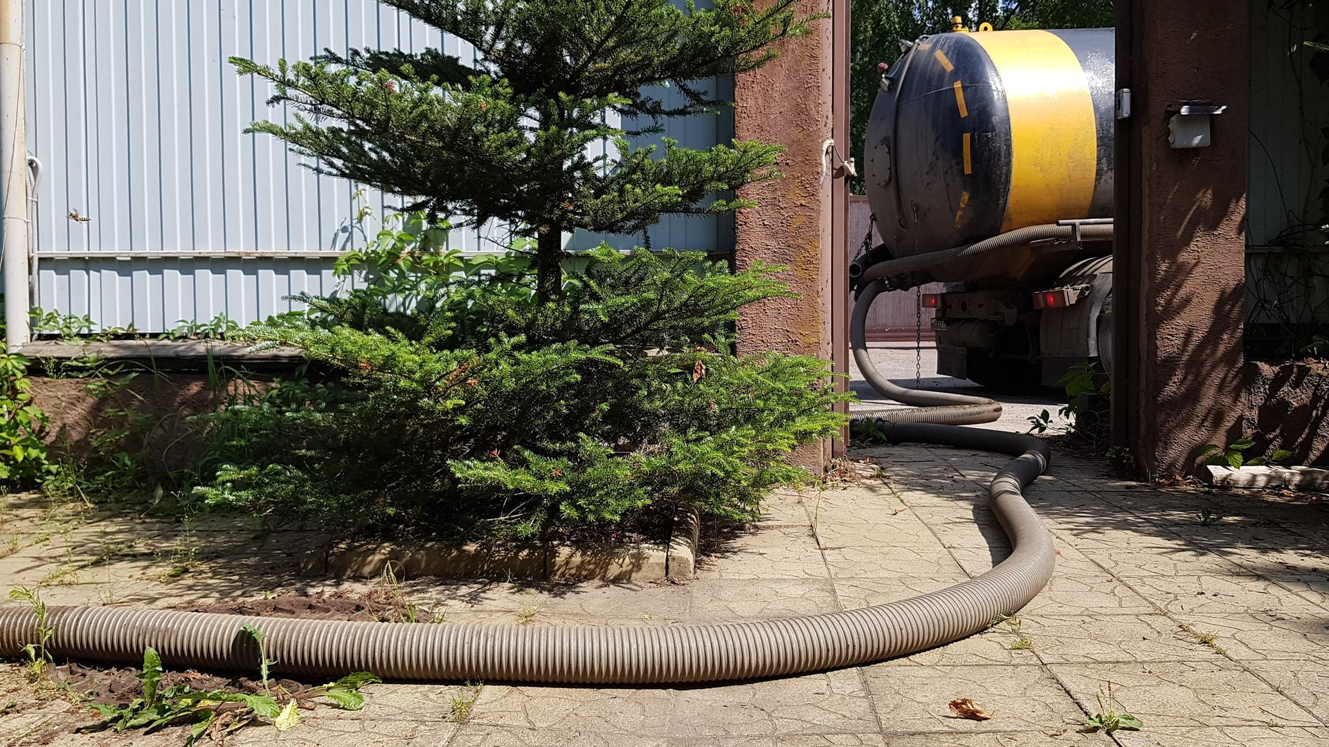 A large hose is sitting on a brick sidewalk next to a tree.