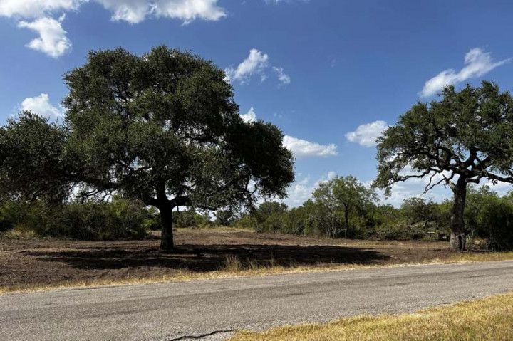 Land Clearing Services