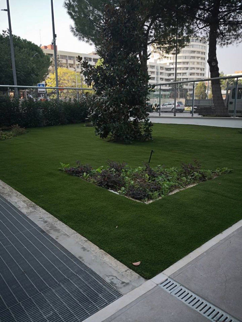 giardino con erba sintetica e alberi a basso fusto