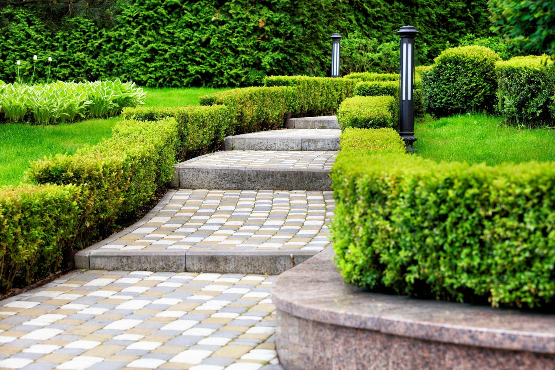 A garden beyond a retaining wall