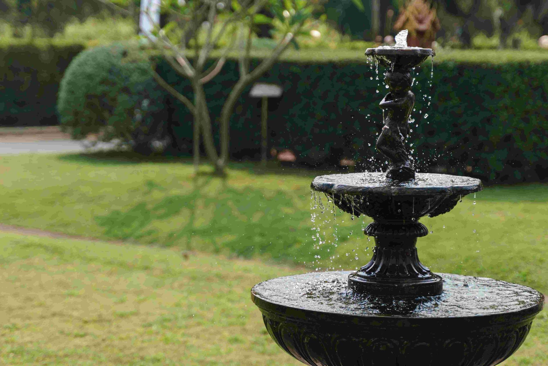 A fountain in a resident's yard