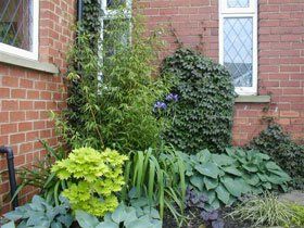 Garden maintenance - Bradford - Largent Landscapes - Garden