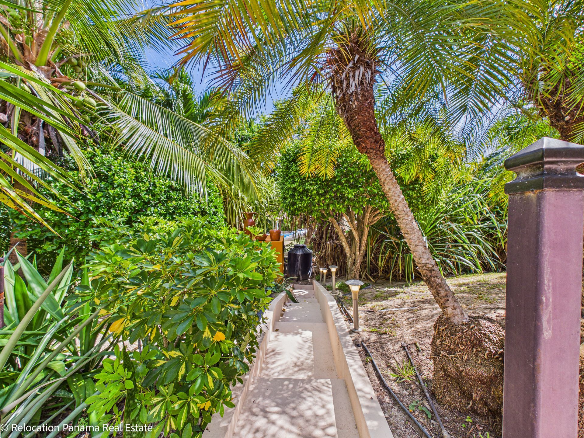 Un sendero de piedra serpentea a través de un exuberante jardín tropical lleno de palmeras y un vibrante follaje verde bajo un cielo soleado.