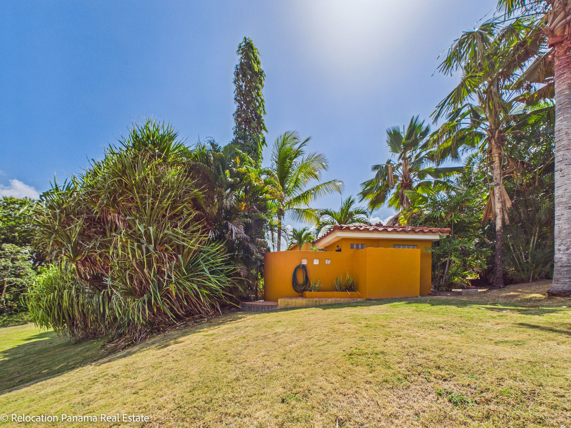 Un edificio amarillo de una sola planta se alza sobre una colina cubierta de hierba, rodeado de exuberantes palmeras tropicales, bajo un cielo azul brillante.