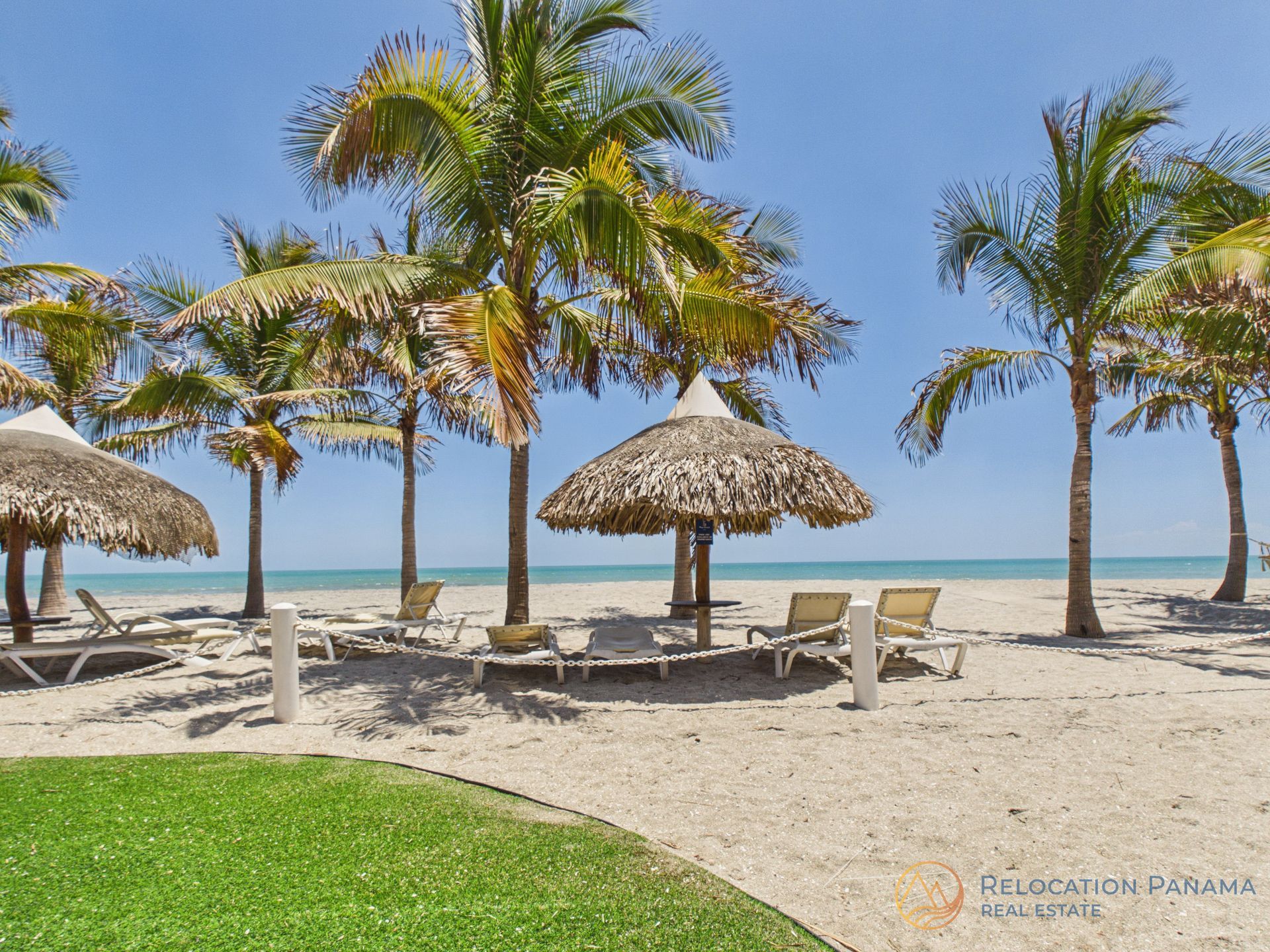Una playa de arena con hileras de palmeras, sombrillas de paja y tumbonas con vistas al océano azul bajo un cielo despejado. playa caracol chame