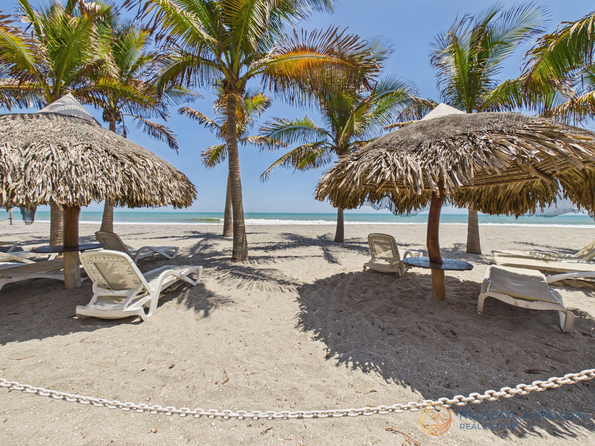Tumbonas blancas vacías bajo sombrillas de paja en una playa soleada y arenosa, con palmeras y un cielo azul despejado.