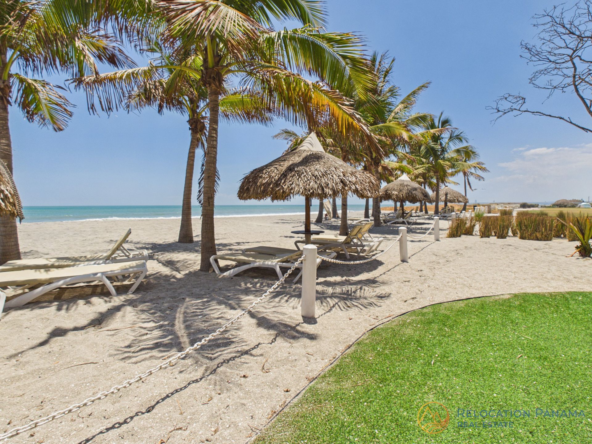 Una playa soleada con palmeras, sombrillas con techo de paja y tumbonas junto a un trozo de césped verde. playa caracol chame