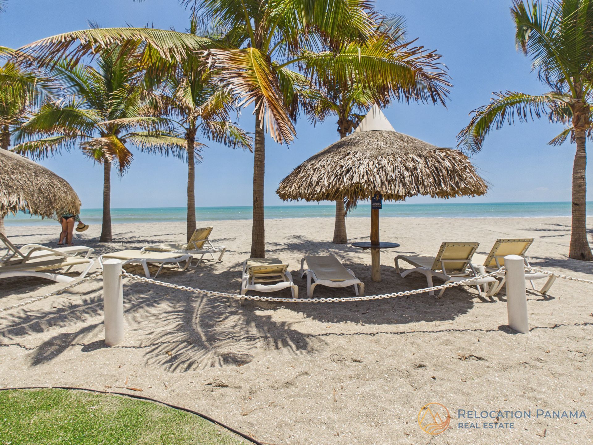 Una soleada escena playera con palmeras, sombrillas de paja y tumbonas sobre la arena frente al océano. playa caracol chame