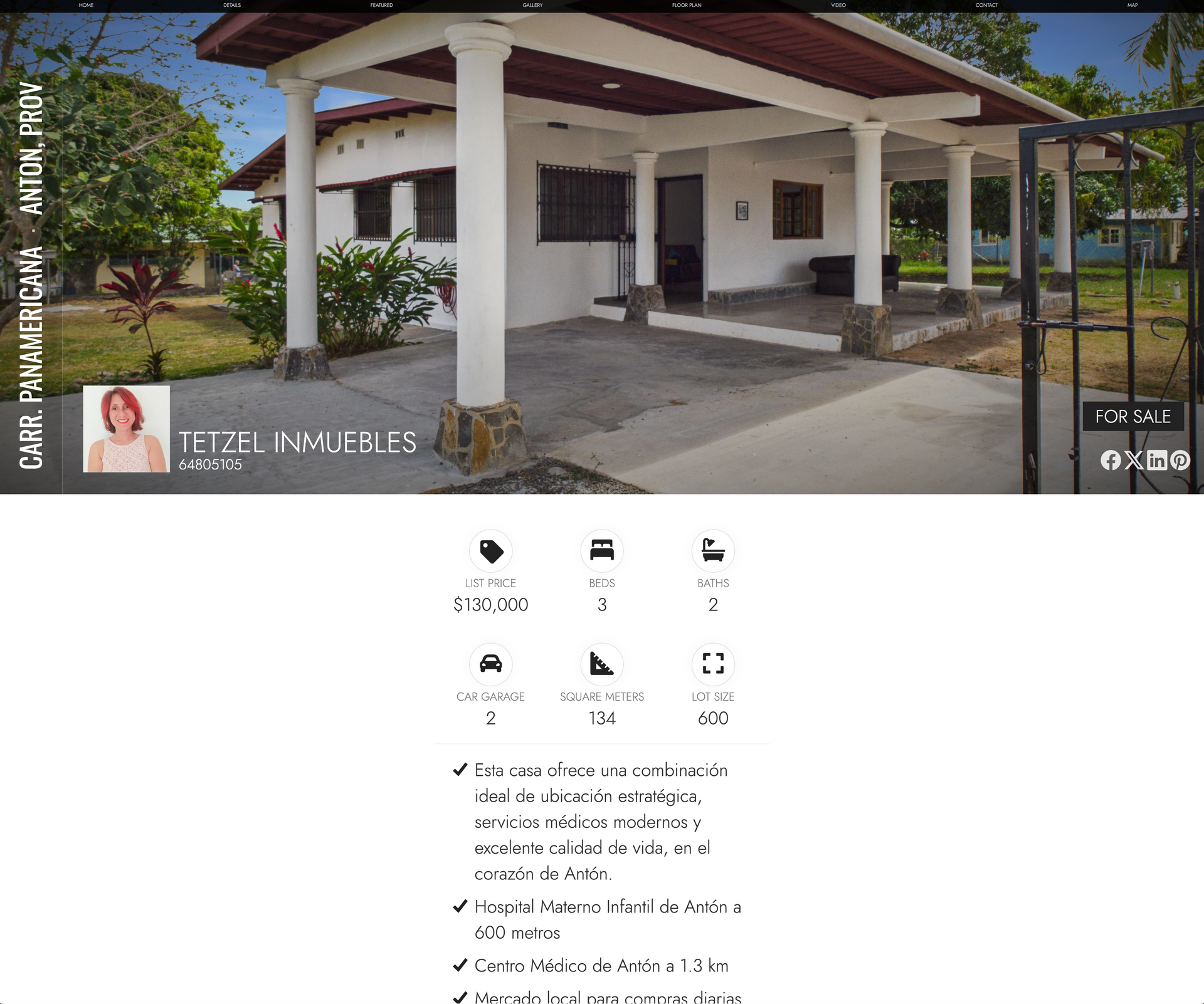 Mini website para tetzel inmuebles